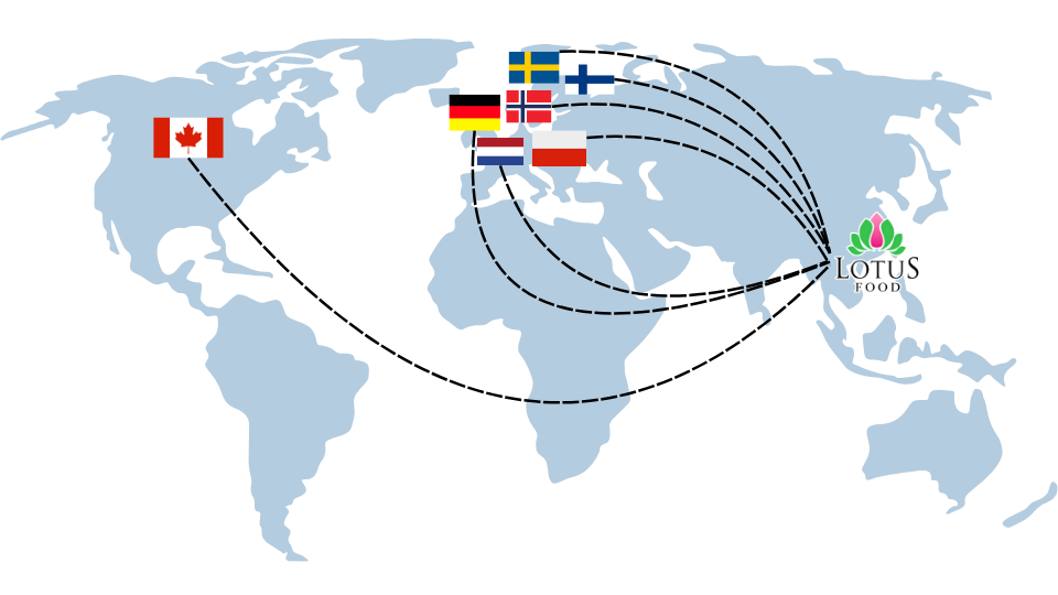 Blue And Grey World Map Chart Presentation